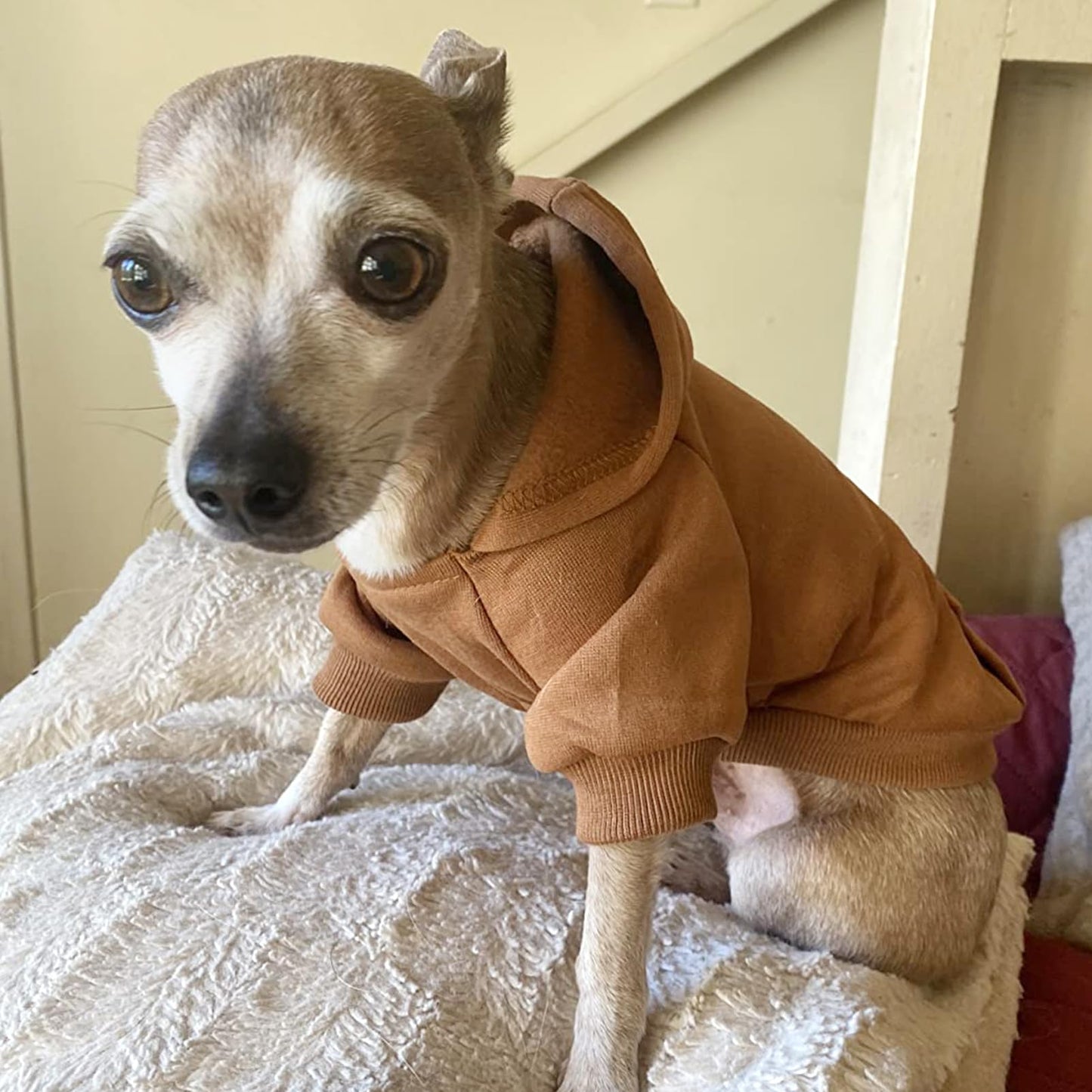 Dog Hoodie Sweatshirts with Pockets for Small Dogs, Puppy, Cat
