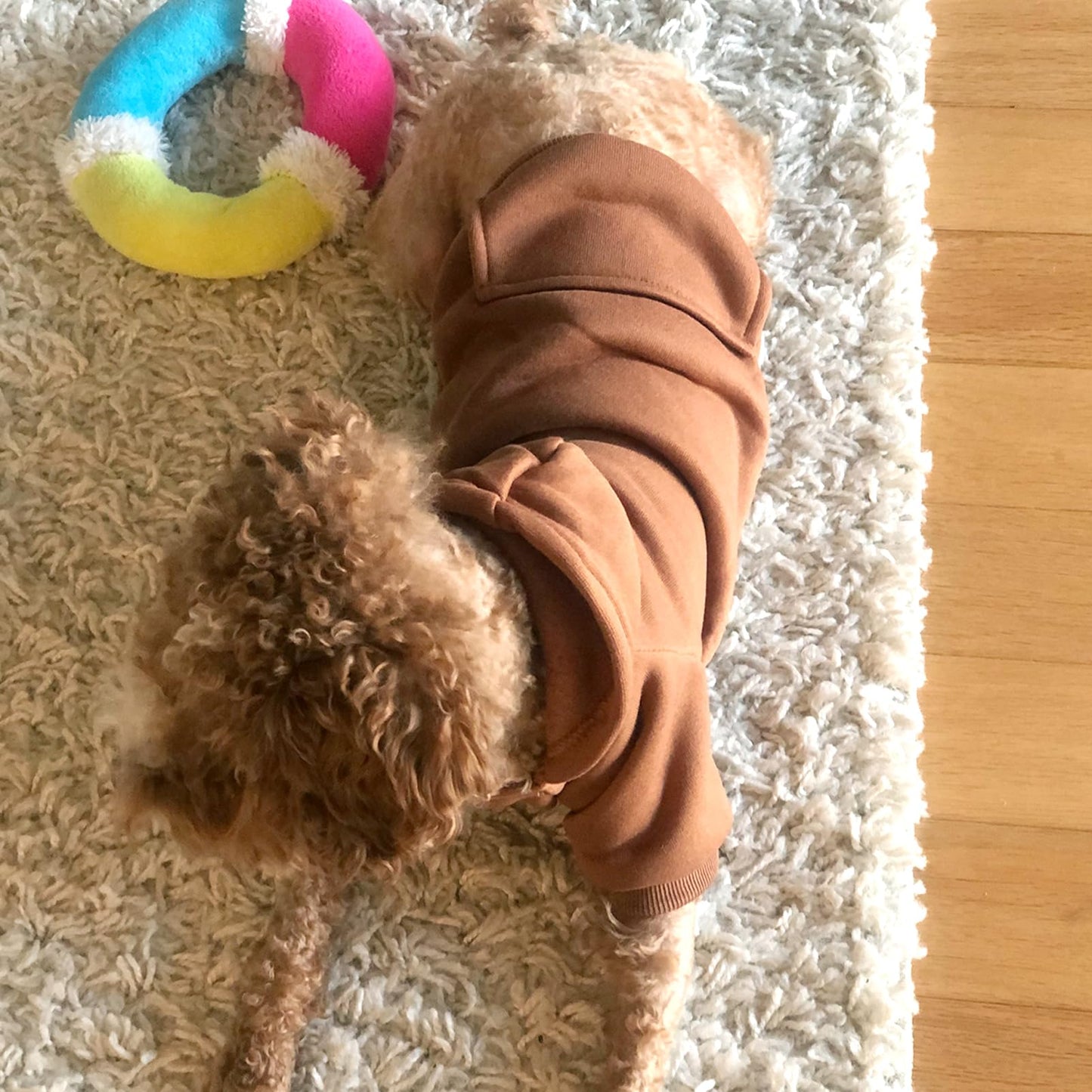 Dog Hoodie Sweatshirts with Pockets for Small Dogs, Puppy, Cat