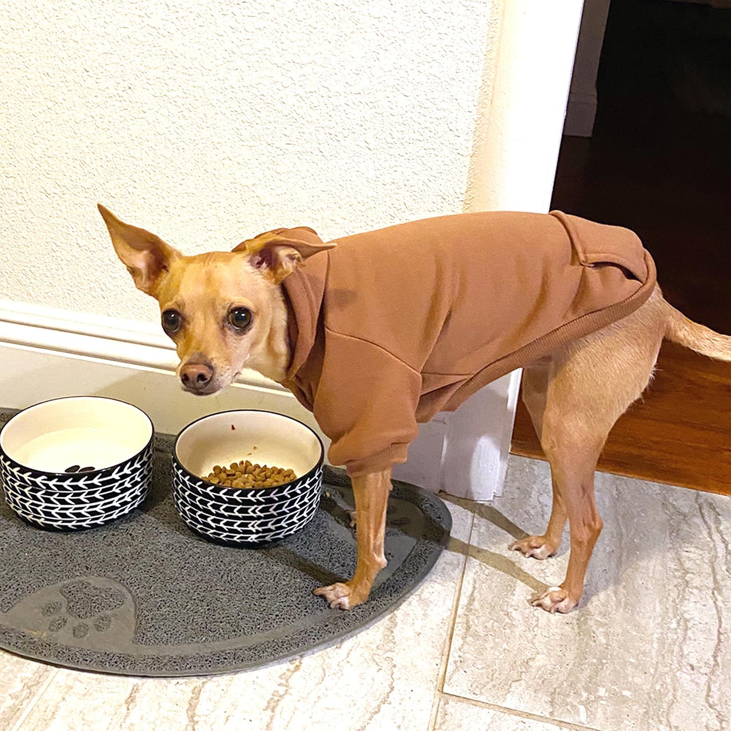 Dog Hoodie Sweatshirts with Pockets for Small Dogs, Puppy, Cat
