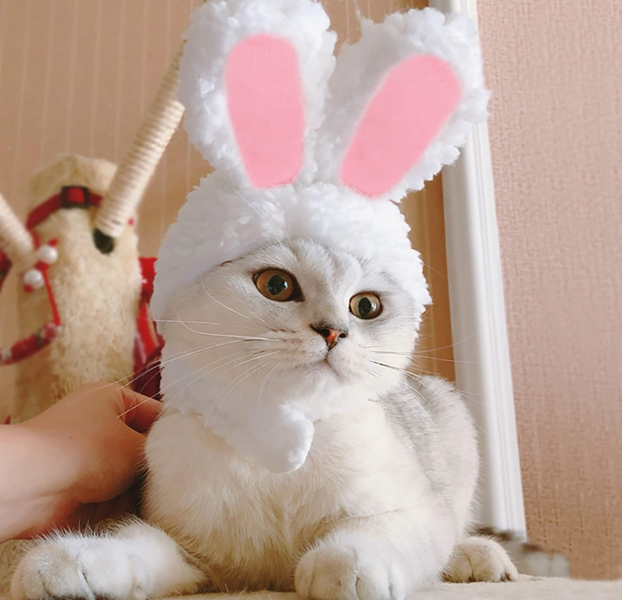 Cat Easter Bunny Rabbit Hat with Ears