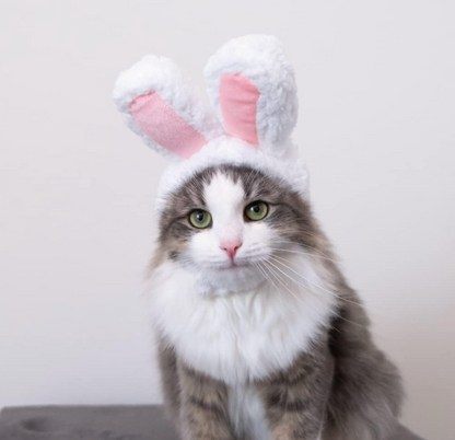 Cat Easter Bunny Rabbit Hat with Ears